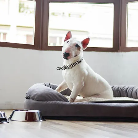 فندق Casual Del Mar 3*